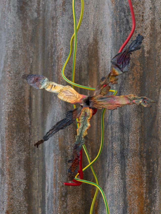 Sculpture abstraite composée de feuilles séchées et de fils colorés rouge et jaune-vert, fixée sur une surface métallique rouillée ondulée.